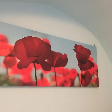 Bed & Breakfast La Rosa Blu 2