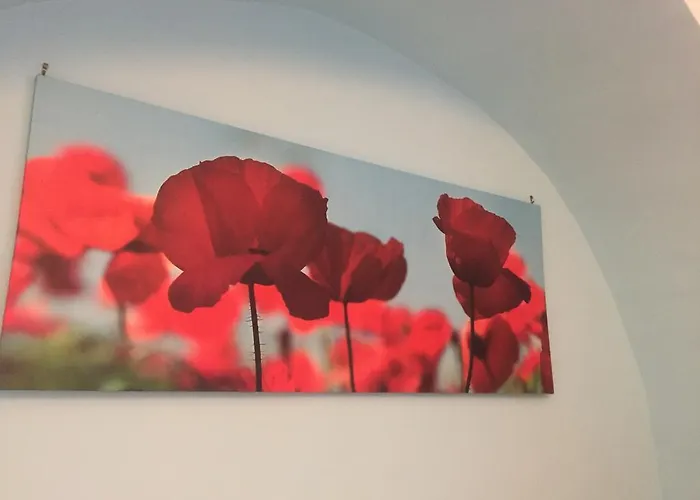 Alojamento de Acomodação e Pequeno-almoço La Rosa Blu 2